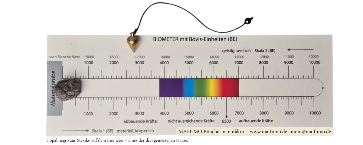 Biometer mit Bovis-Einheiten nach Blanche Merz, Pendel und Copal negro als Materialprobe – radiästhetische Messung von Räucherharzen bei MAFUMO