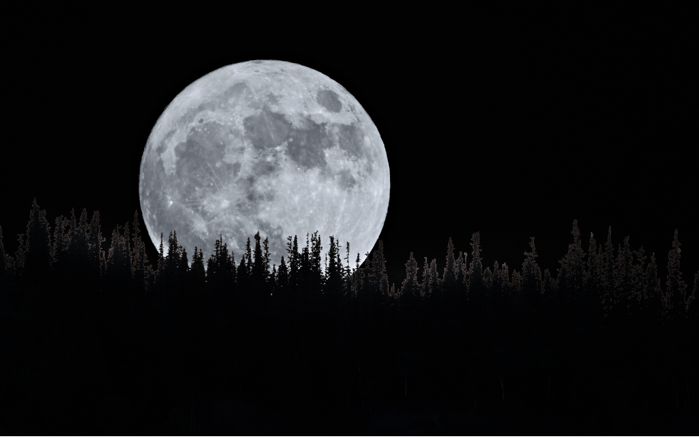 Vollmond über nächtlichem Wald – Stimmungsbild für die Rauhnächte und Räuchermischungen von MAFUMO