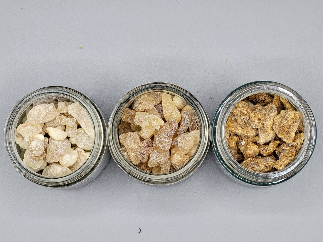 Weihrauch Set mit Weihrauch aus dem Oman, Aden und Tibet, Boswellia sacra, Sal-Harz aus Nepal